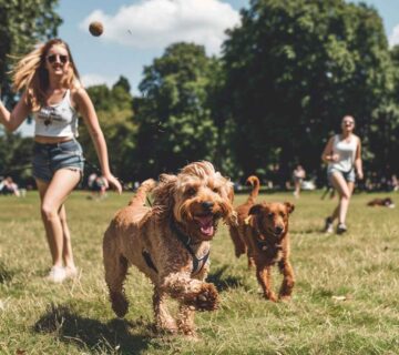 Girls playing with their dogs in dog-friendly holiday park